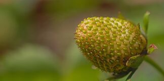 Od czego zależy dojrzałość emocjonalną?