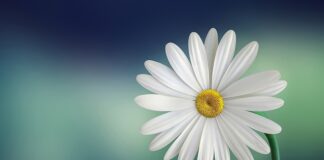 O czym świadczy biały nalot na języku?