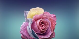 Jak wyznać miłość w słowach?