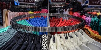 Czy kupować Shiba Inu?